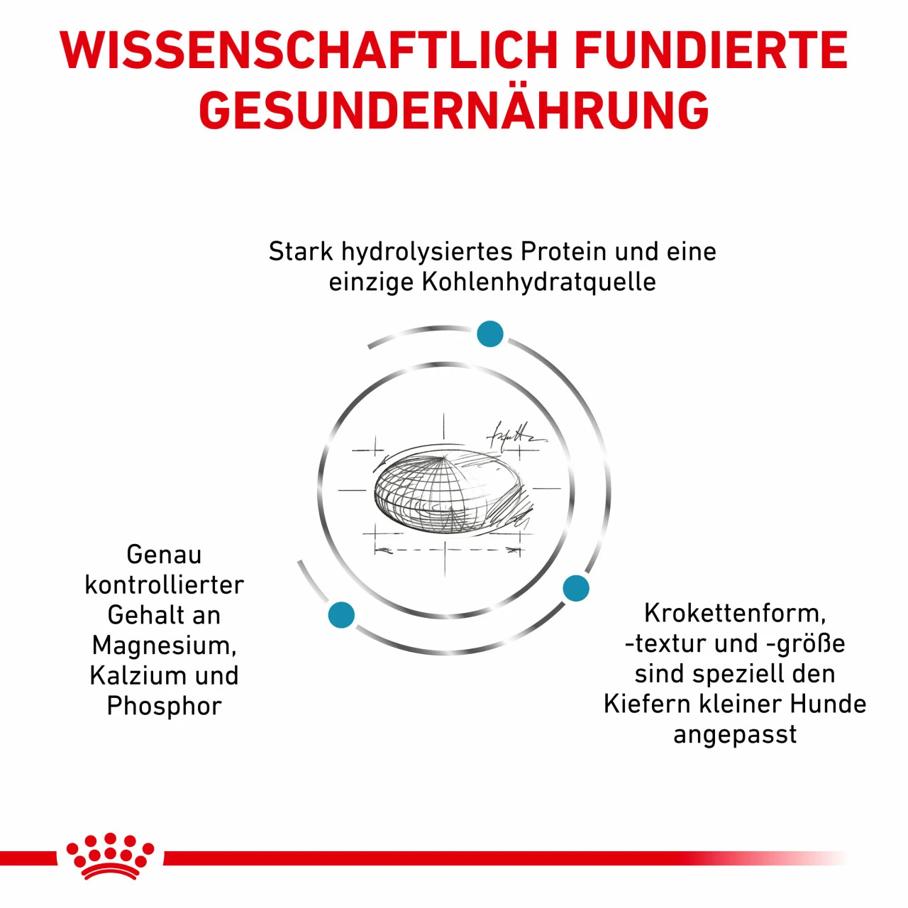 Royal Canin Hypoallergenic Small Dogs Trockenfutter Für Hunde 6 Royal Canin Hypoallergenic Small Dogs Trockenfutter Für Hunde – Bild 4