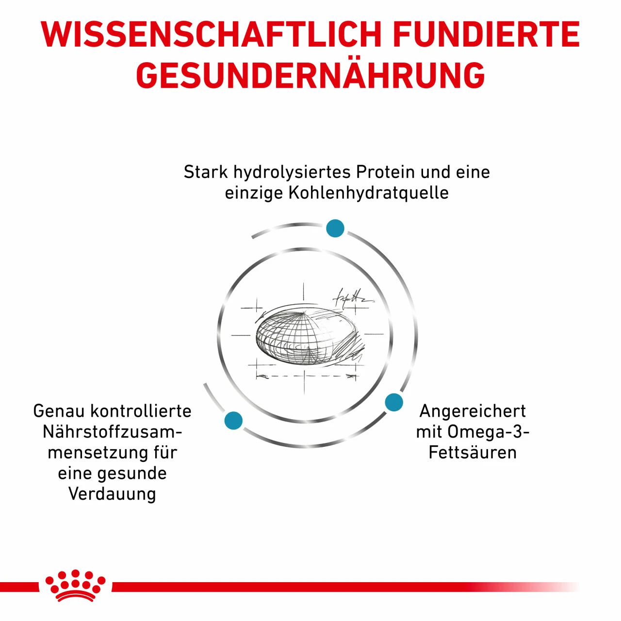 Royal Canin Hypoallergenic Trockenfutter Für Hunde 5 Royal Canin Hypoallergenic Trockenfutter Für Hunde – Bild 3