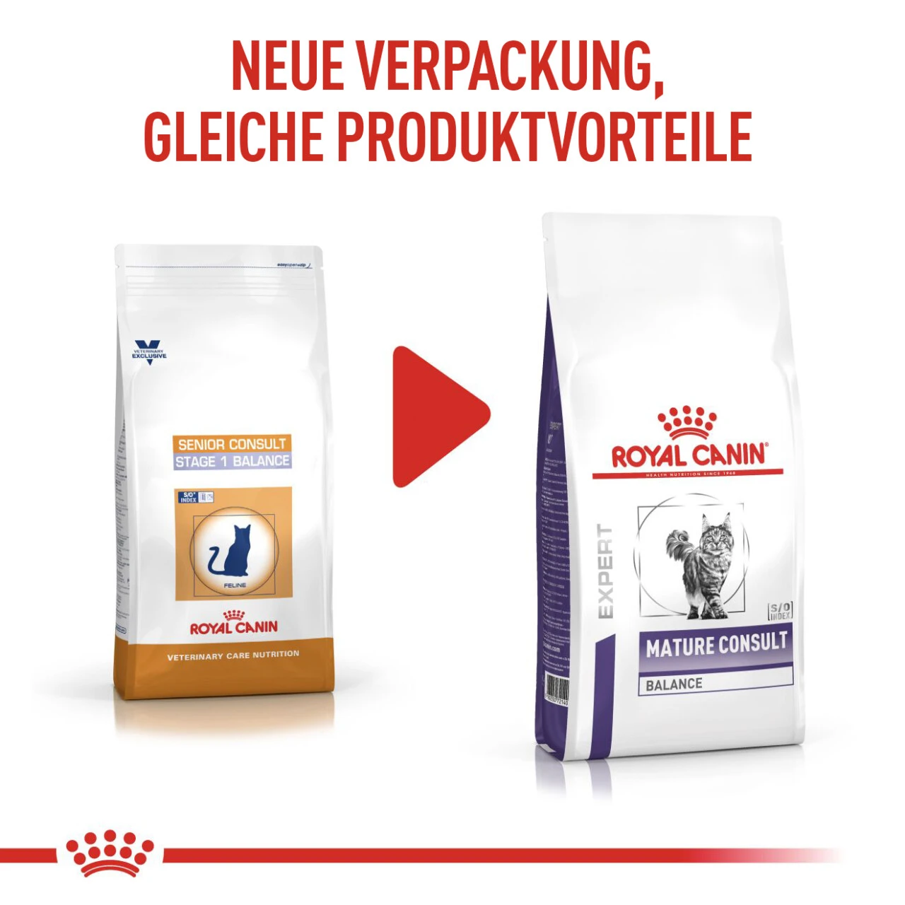 Royal Canin Expert Mature Consult Balance Trockenfutter Für Katzen 4 Royal Canin Expert Mature Consult Balance Trockenfutter Für Katzen – Bild 2