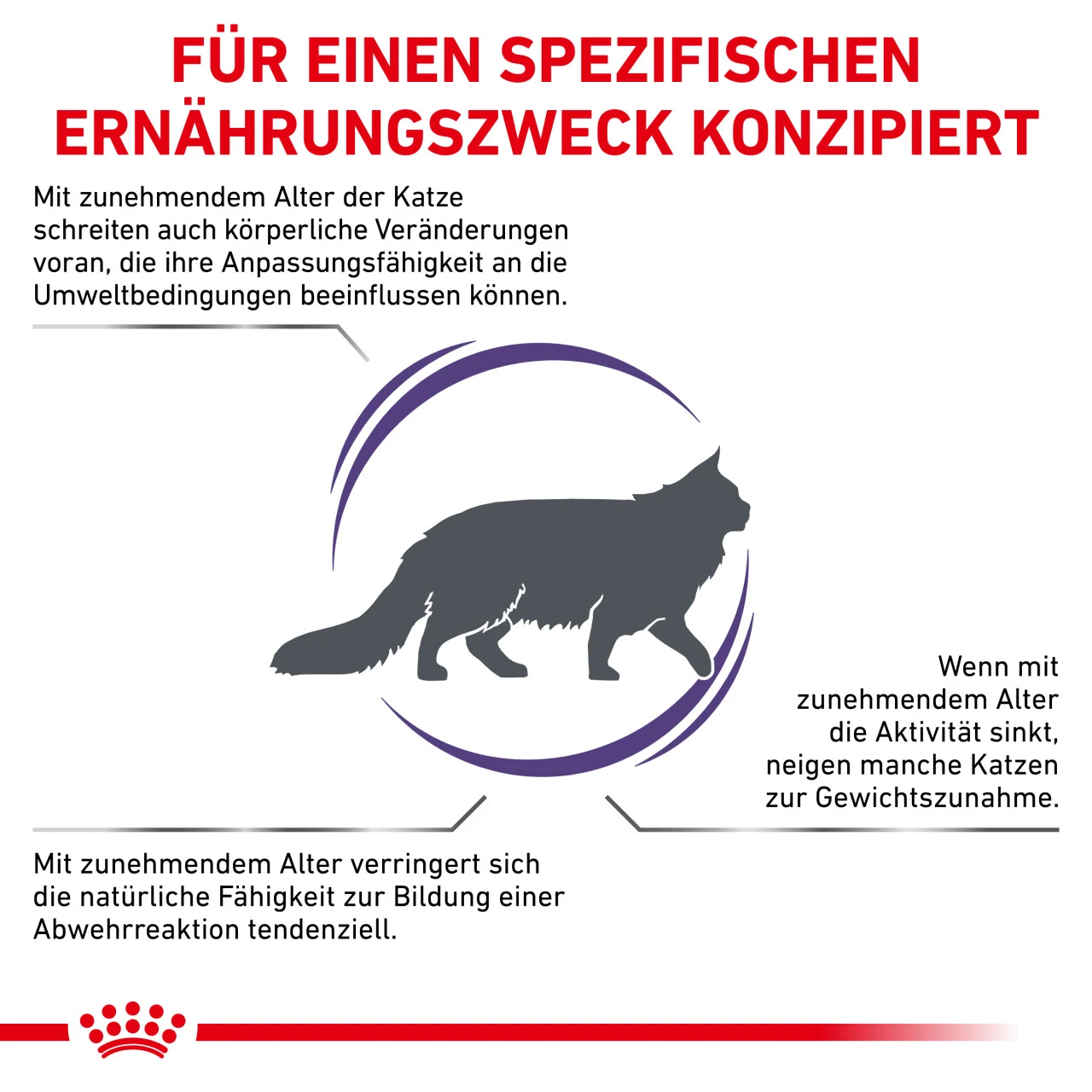 Royal Canin Expert Mature Consult Balance Trockenfutter Für Katzen 5 Royal Canin Expert Mature Consult Balance Trockenfutter Für Katzen – Bild 3