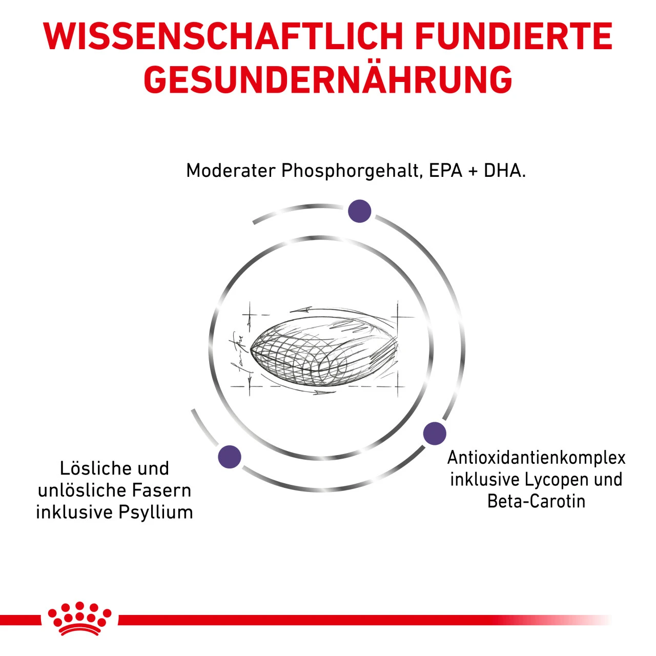 Royal Canin Expert Mature Consult Balance Trockenfutter Für Katzen 6 Royal Canin Expert Mature Consult Balance Trockenfutter Für Katzen – Bild 4