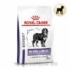 Royal Canin Expert Mature Consult Large Dogs Trockenfutter Für Hunde 2 Royal Canin Expert Mature Consult Large Dogs Trockenfutter Für Hunde -Heimtierbedarf royal canin mature consult large dogs hund