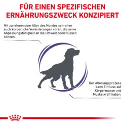 Royal Canin Expert Mature Consult Medium Dogs Trockenfutter Für Hunde 13 Royal Canin Expert Mature Consult Medium Dogs Trockenfutter Für Hunde -Heimtierbedarf royal canin mature consult medium dogs hund3