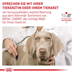 Royal Canin Expert Mature Consult Medium Dogs Trockenfutter Für Hunde 19 Royal Canin Expert Mature Consult Medium Dogs Trockenfutter Für Hunde -Heimtierbedarf royal canin mature consult medium dogs hund9
