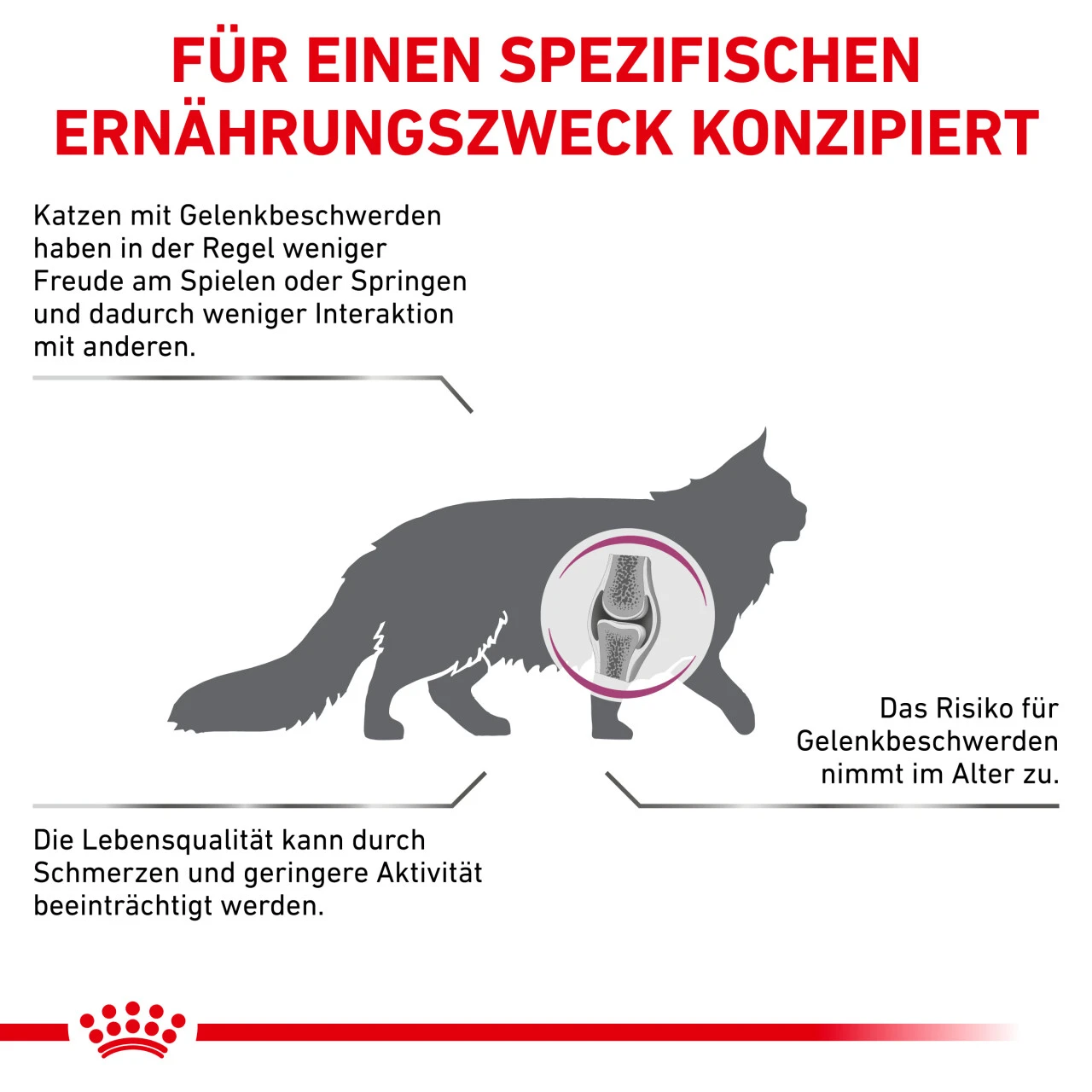 Royal Canin Mobility Trockenfutter Für Katzen 7 Royal Canin Mobility Trockenfutter Für Katzen – Bild 5