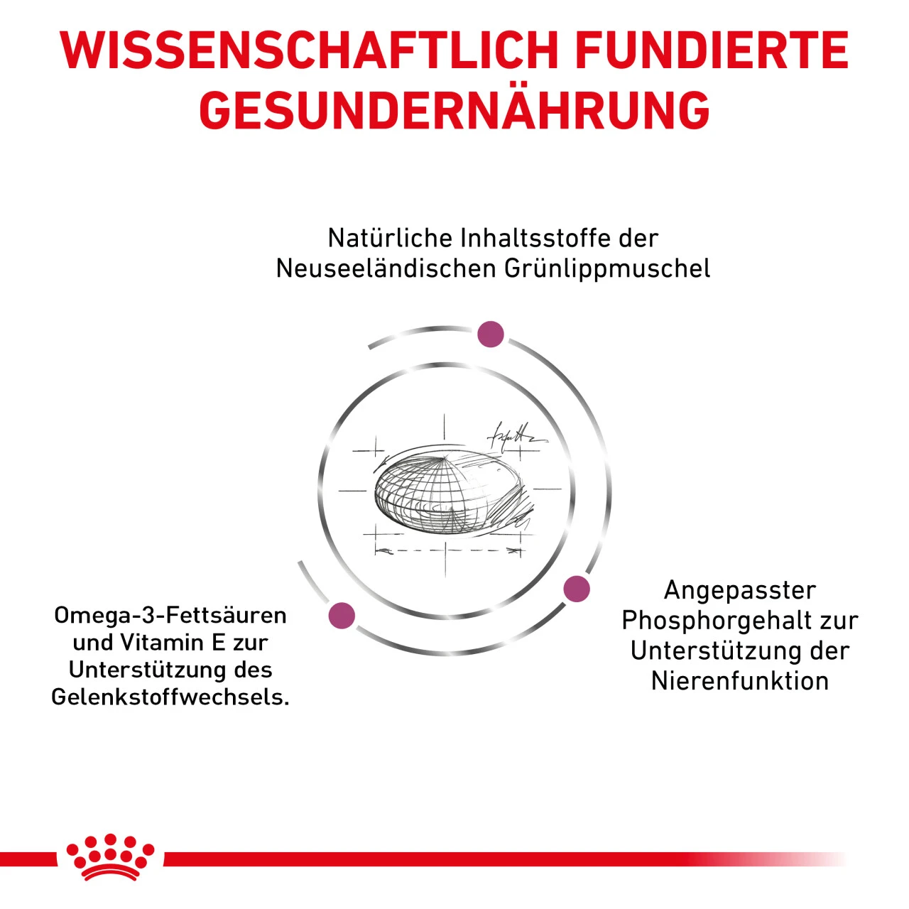 Royal Canin Mobility Trockenfutter Für Katzen 8 Royal Canin Mobility Trockenfutter Für Katzen – Bild 6