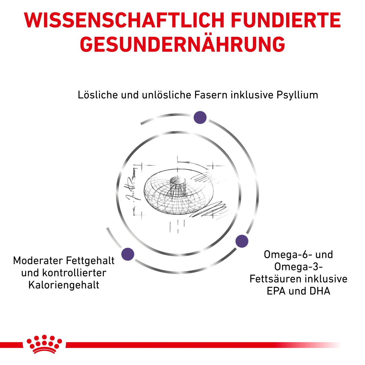 Royal Canin Expert Neutered Adult Medium Dogs Trockenfutter Für Hunde 6 Royal Canin Expert Neutered Adult Medium Dogs Trockenfutter Für Hunde – Bild 4