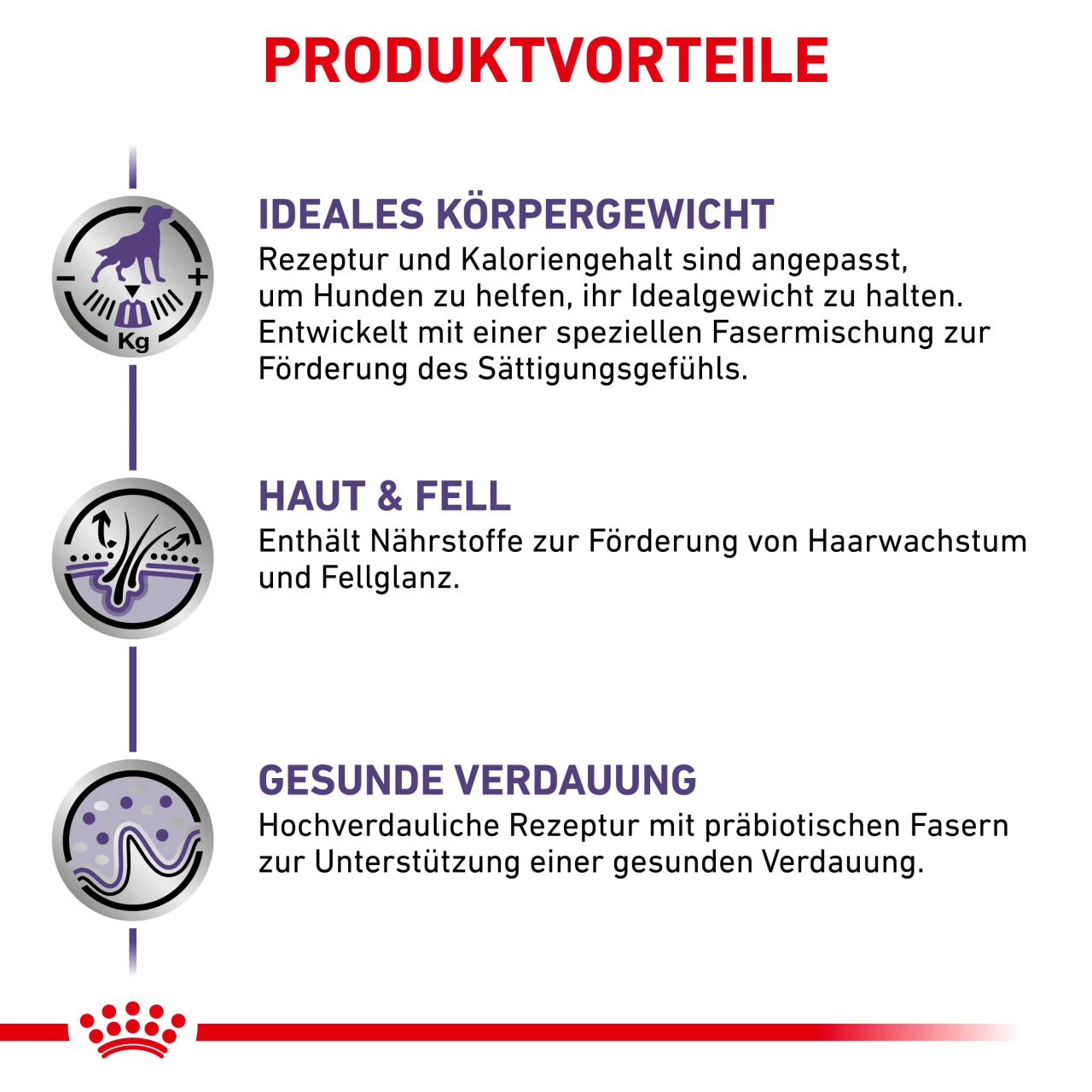 Royal Canin Expert Neutered Adult Medium Dogs Trockenfutter Für Hunde 7 Royal Canin Expert Neutered Adult Medium Dogs Trockenfutter Für Hunde – Bild 5