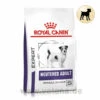 Royal Canin Expert Neutered Adult Small Dogs Trockenfutter Für Hunde 2 Royal Canin Expert Neutered Adult Small Dogs Trockenfutter Für Hunde -Heimtierbedarf royal canin neutered adult small dogs hund