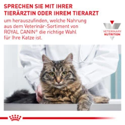 Royal Canin Renal Select Trockenfutter Katze 17 Royal Canin Renal Select Trockenfutter Katze -Heimtierbedarf royal canin renal select katze8