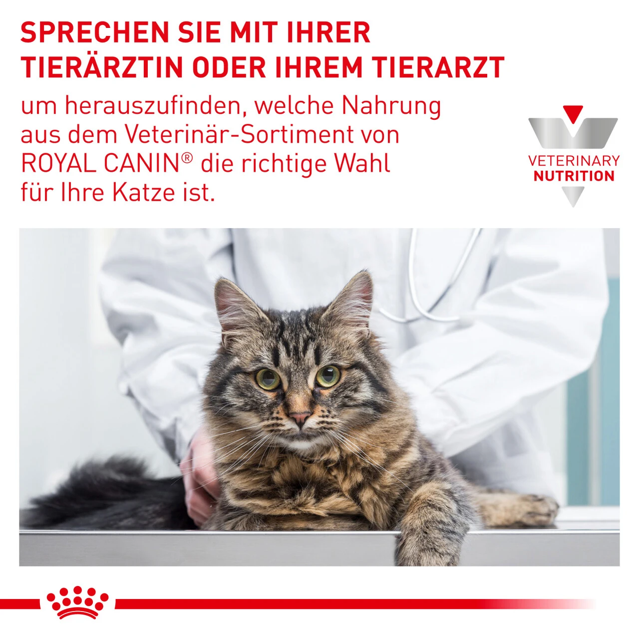 Royal Canin Renal Select Trockenfutter Katze 10 Royal Canin Renal Select Trockenfutter Katze – Bild 8