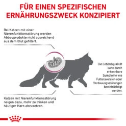 Royal Canin Renal Trockenfutter Für Katzen 13 Royal Canin Renal Trockenfutter Für Katzen -Heimtierbedarf royal canin renal trocken katze5