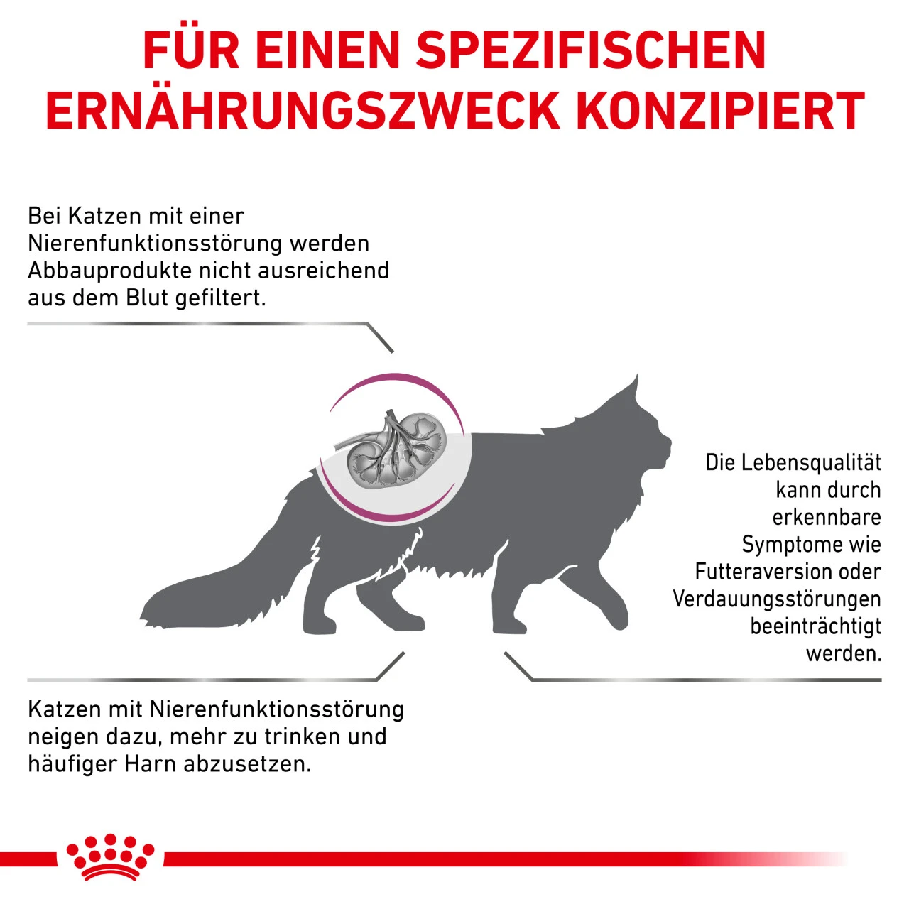 Royal Canin Renal Trockenfutter Für Katzen 6 Royal Canin Renal Trockenfutter Für Katzen – Bild 5