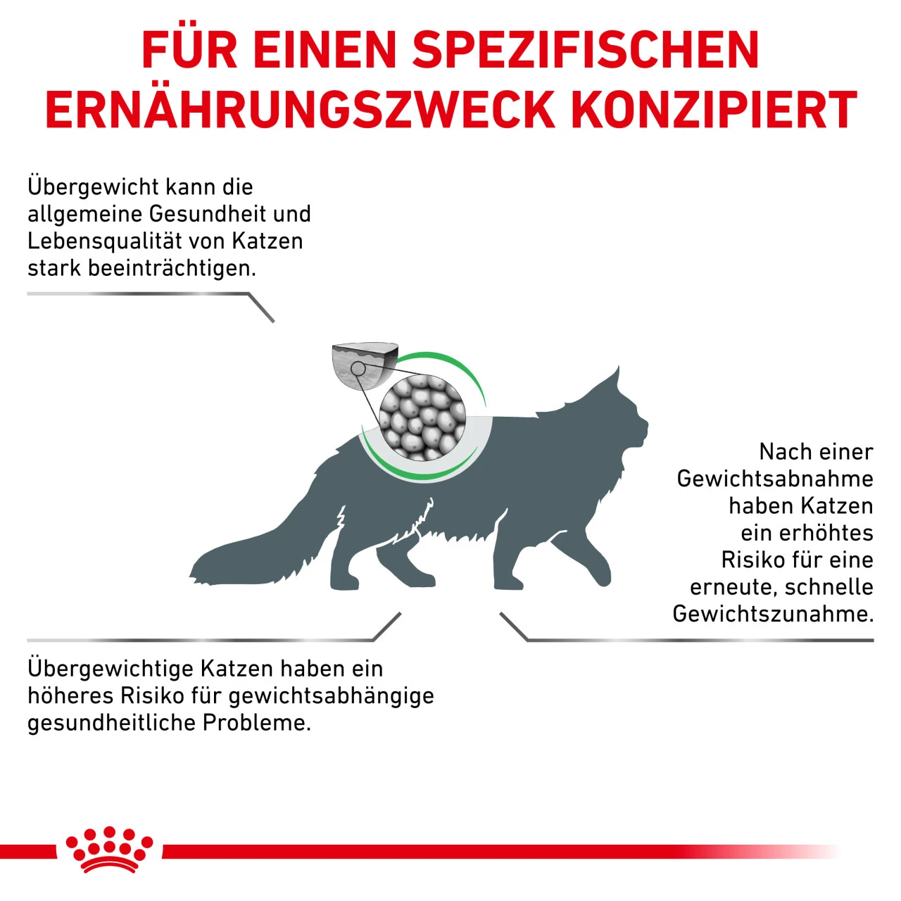 Royal Canin Satiety Weight Management Trockenfutter Für Katzen 6 Royal Canin Satiety Weight Management Trockenfutter Für Katzen – Bild 4