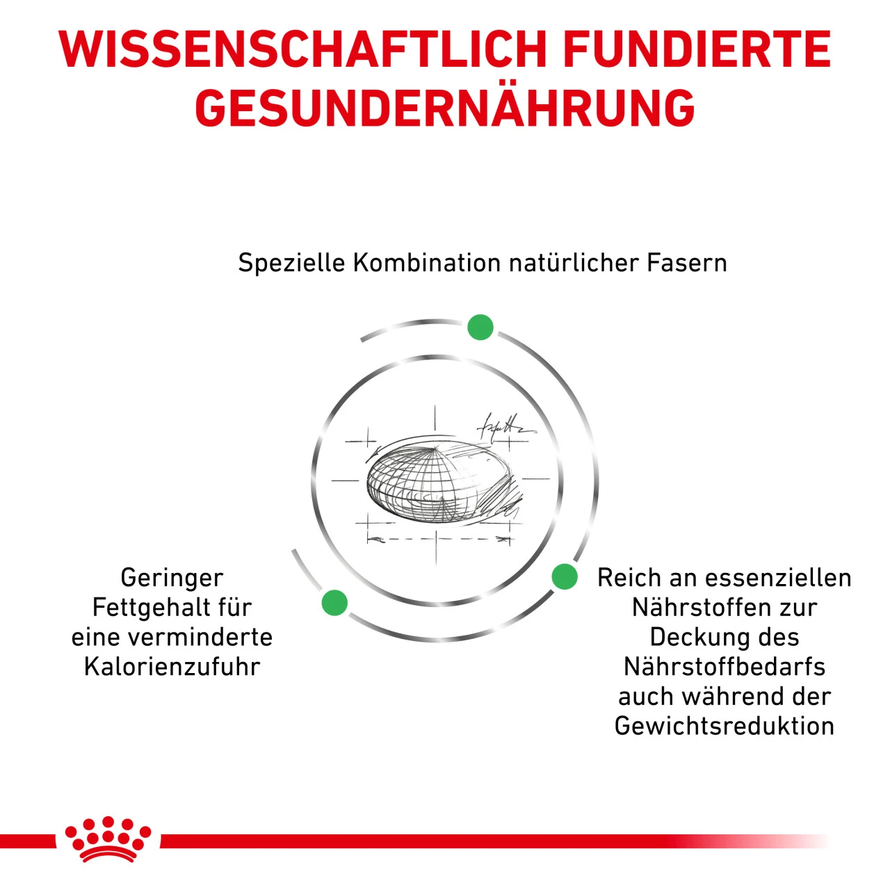 Royal Canin Satiety Weight Management Trockenfutter Für Katzen 7 Royal Canin Satiety Weight Management Trockenfutter Für Katzen – Bild 5