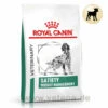 Royal Canin Satiety Weight Management Trockenfutter Für Hunde 2 Royal Canin Satiety Weight Management Trockenfutter Für Hunde -Heimtierbedarf royal canin satiety weight management trocken hund