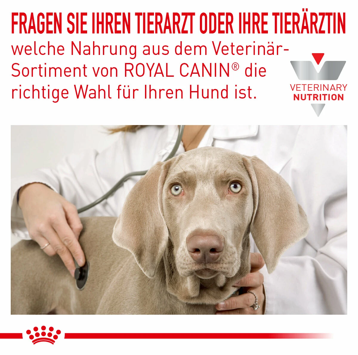 Royal Canin Sensitivity Control Nassfutter Für Hunde 4 Royal Canin Sensitivity Control Nassfutter Für Hunde – Bild 2