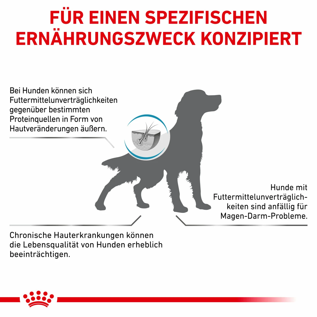 Royal Canin Sensitivity Control Trockenfutter Für Hunde 9 Royal Canin Sensitivity Control Trockenfutter Für Hunde – Bild 7