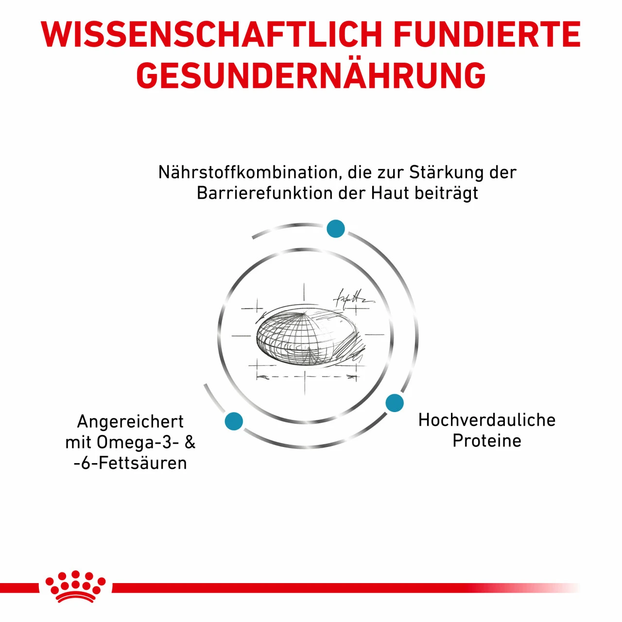 Royal Canin Skin Care Trockenfutter Für Hunde 5 Royal Canin Skin Care Trockenfutter Für Hunde – Bild 3