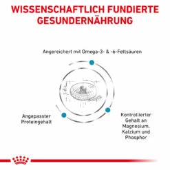 Royal Canin Skin & Coat Trockenfutter Für Katzen 12 Royal Canin Skin & Coat Trockenfutter Für Katzen -Heimtierbedarf royal canin skin coat trocken katze3