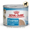 Royal Canin Starter Mousse Mother & Babydog Nassfutter Für Hunde 2 Royal Canin Starter Mousse Mother & Babydog Nassfutter Für Hunde -Heimtierbedarf royal canin starter mousse mother babydog hund