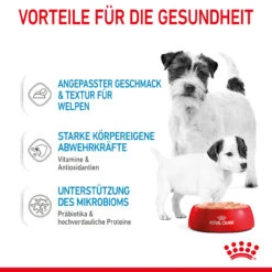 Royal Canin Starter Mousse Mother & Babydog Nassfutter Für Hunde 14 Royal Canin Starter Mousse Mother & Babydog Nassfutter Für Hunde -Heimtierbedarf royal canin starter mousse mother babydog hund5