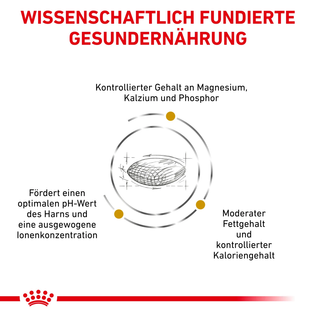 Royal Canin Urinary S/O Moderate Calorie Trockenfutter Für Hunde 6 Royal Canin Urinary S/O Moderate Calorie Trockenfutter Für Hunde – Bild 4