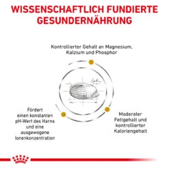 Royal Canin Urinary S/O Moderate Calorie Trockenfutter Für Katzen 15 Royal Canin Urinary S/O Moderate Calorie Trockenfutter Für Katzen -Heimtierbedarf royal canin urinary s o moderate calorie trocken katze5