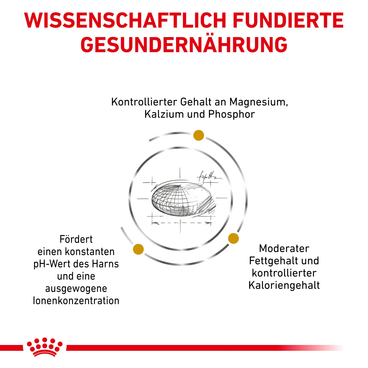 Royal Canin Urinary S/O Moderate Calorie Trockenfutter Für Katzen 7 Royal Canin Urinary S/O Moderate Calorie Trockenfutter Für Katzen – Bild 5