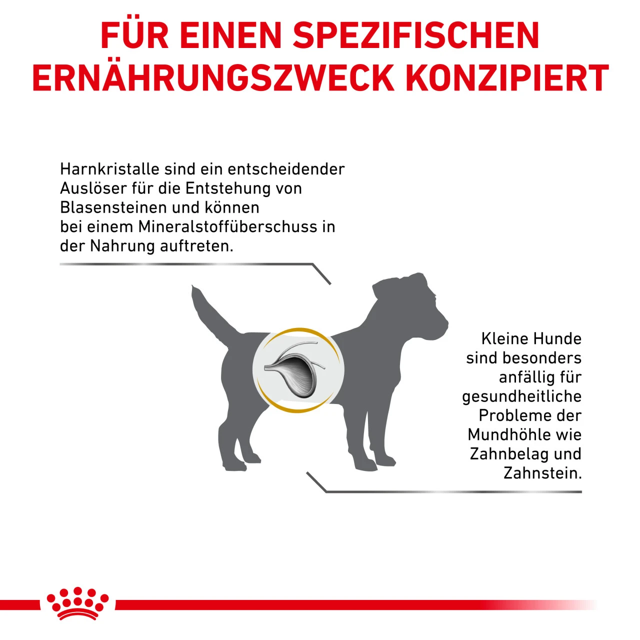 Royal Canin Urinary S/O Small Dogs Trockenfutter Für Hunde 8 Royal Canin Urinary S/O Small Dogs Trockenfutter Für Hunde – Bild 6