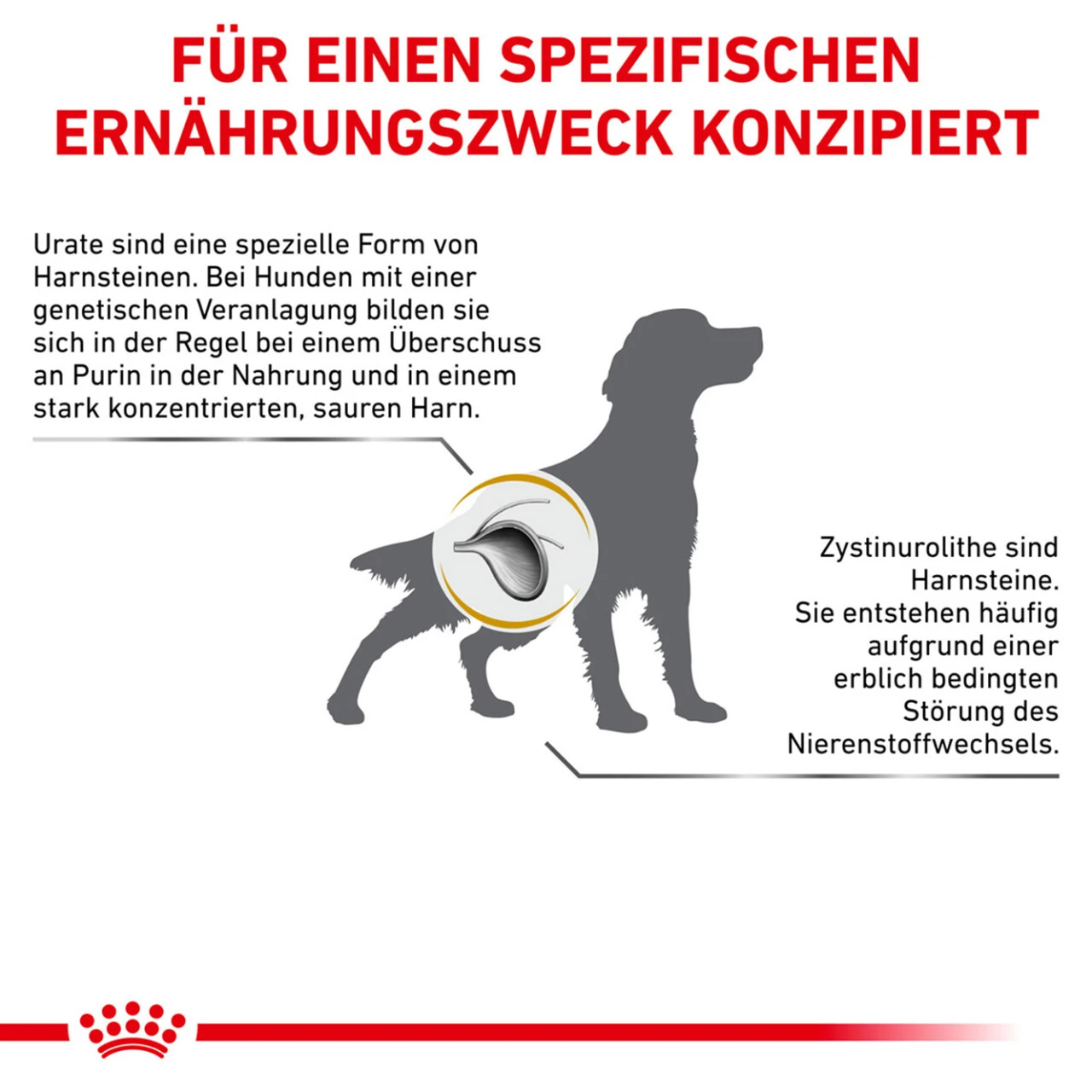 Royal Canin Urinary U/C Trockenfutter Für Hunde 9 Royal Canin Urinary U/C Trockenfutter Für Hunde – Bild 7