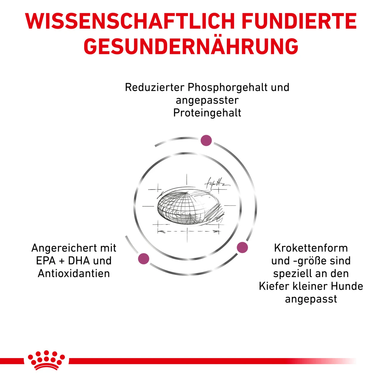 Royal Canin Renal Small Dogs Trockenfutter Für Hunde 8 Royal Canin Renal Small Dogs Trockenfutter Für Hunde – Bild 6