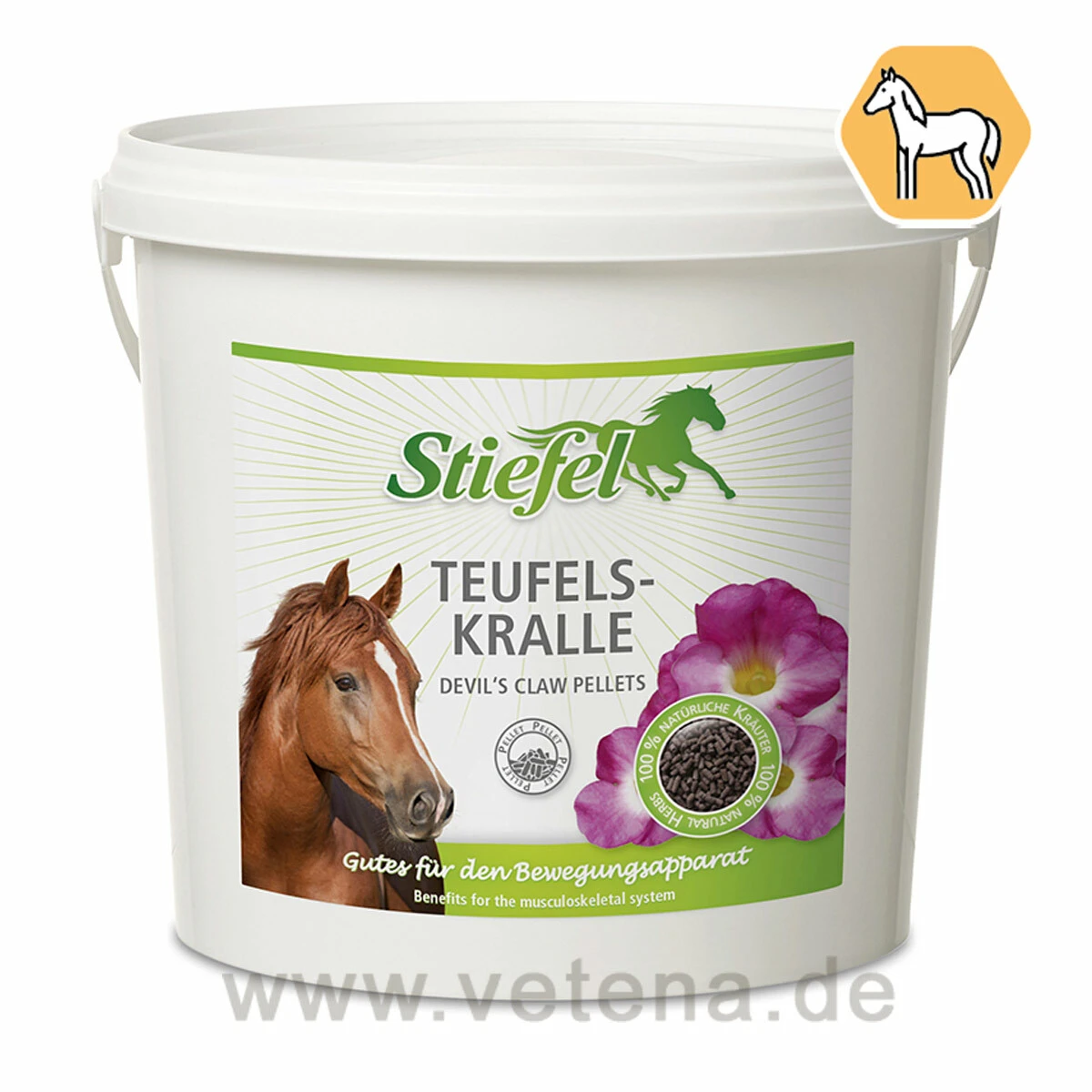 Stiefel Teufelskralle 3 Stiefel Teufelskralle