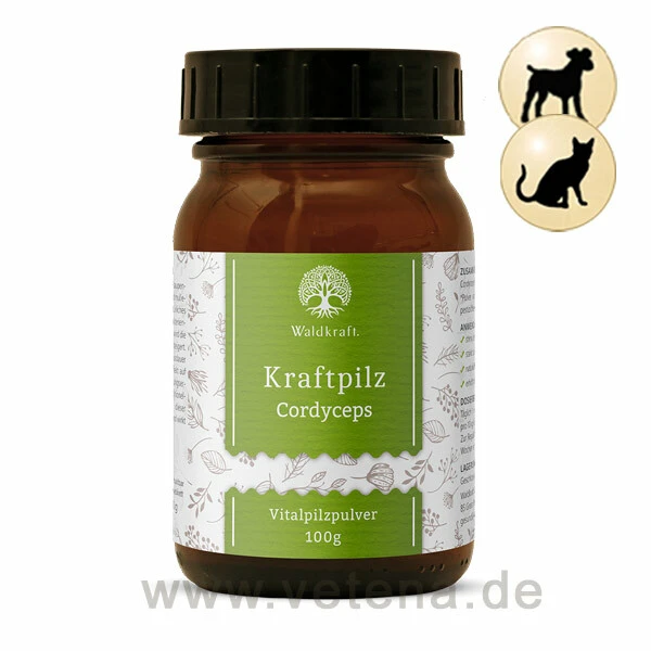 Kraftpilze Cordyceps - Vitalpilzpulver Für Hunde & Katzen 3 Kraftpilze Cordyceps - Vitalpilzpulver Für Hunde & Katzen