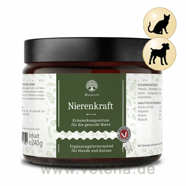 Nierenkraft 3 Nierenkraft