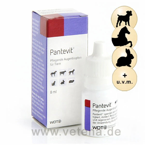 Pantevit 3 Pantevit